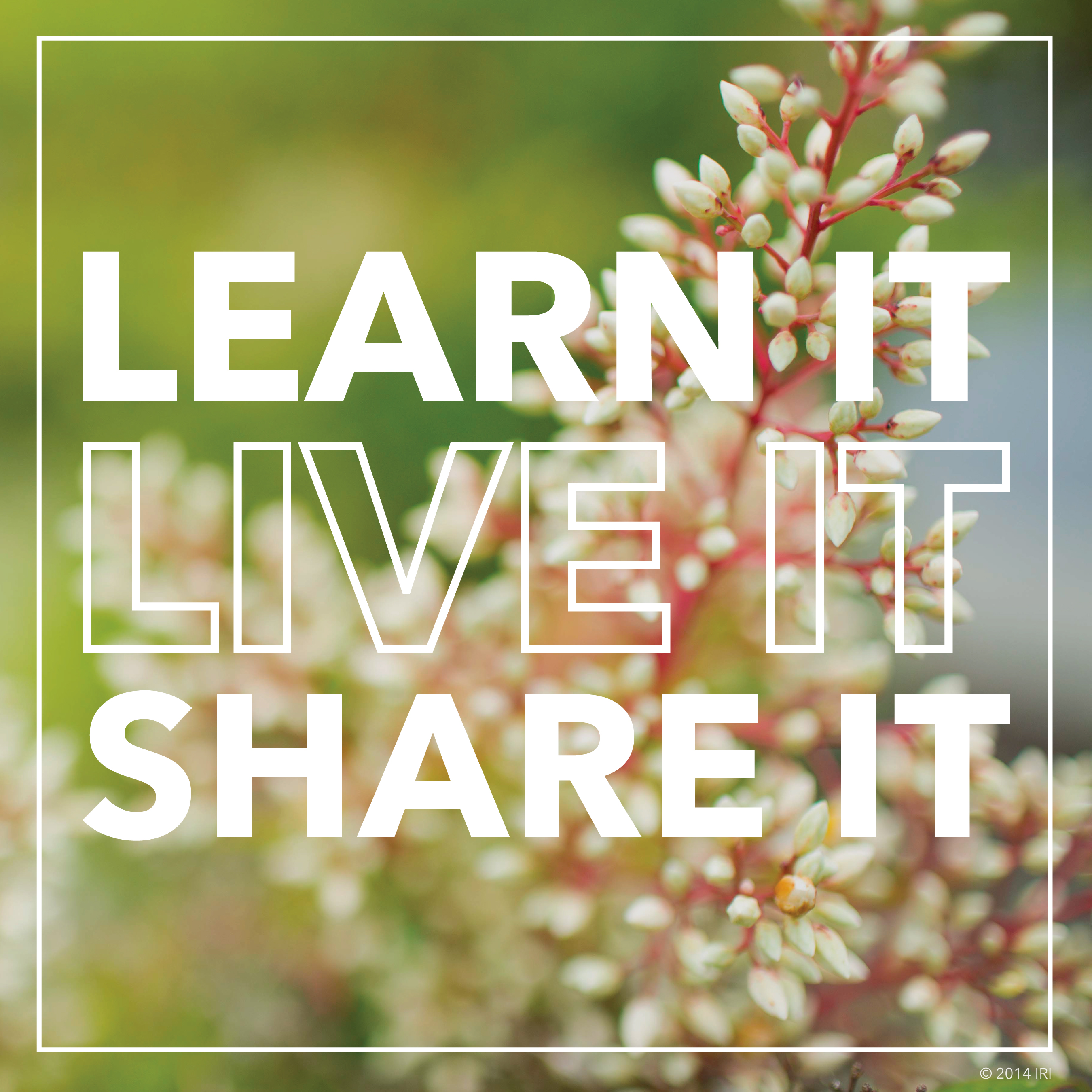 Lean it, Live it, Share it